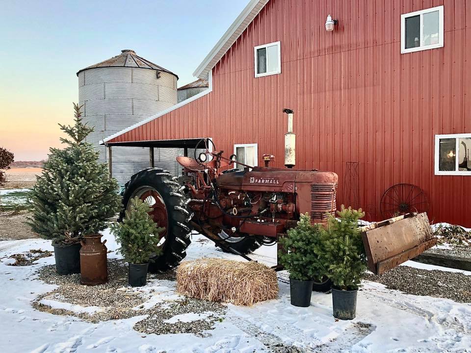 Christmas at the Barn